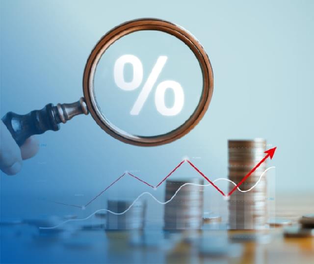 Bunga Kredit Bank BSI